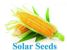 Солар сідс (solar seeds-франція)