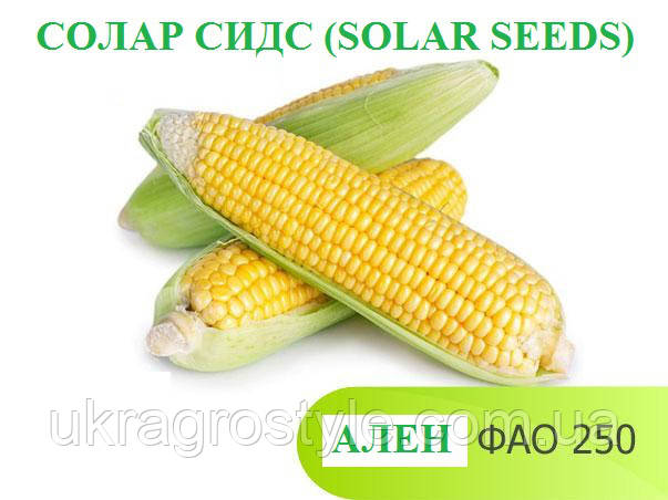 АЛЕН ФАО 250 (Франція) Насіння кукурудзи