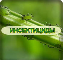 Інсектициди