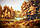 Краєвид Осінній ліс П-403 Гранд Презент 30*40, фото 2