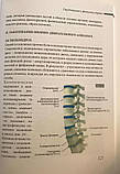Книга «Натуропатична медицина Гірудотерапія та фізіологія здоров'я», воврач-гірудотерапевт Куплівська Л. А., фото 10
