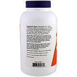 Now Foods, Порошок із лушпиння насіння подорожника, 12 унцій (340 г), фото 4