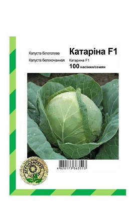 Насіння капусти Катаріна F1 100 насінин (Бейо / Bejo/ Агропак+) — рання (54 дні), білоголова., фото 2