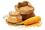 Схема живлення кукурудзи