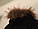 Дитячий підлітковий зимовий теплий Натуральний зимовий пуховик GXF. Унісекс. Розміри 130-170., фото 5