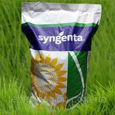 Насіння Соняшник КАДІКС п.о., фото 1