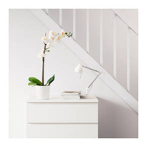 ФАЙКА, Штучне рослина, 80285909, ІКЕА, IKEA, FEJKA, фото 2