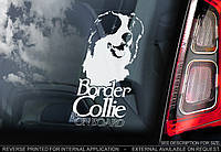 Бордер Колли (Border Collie) стикер
