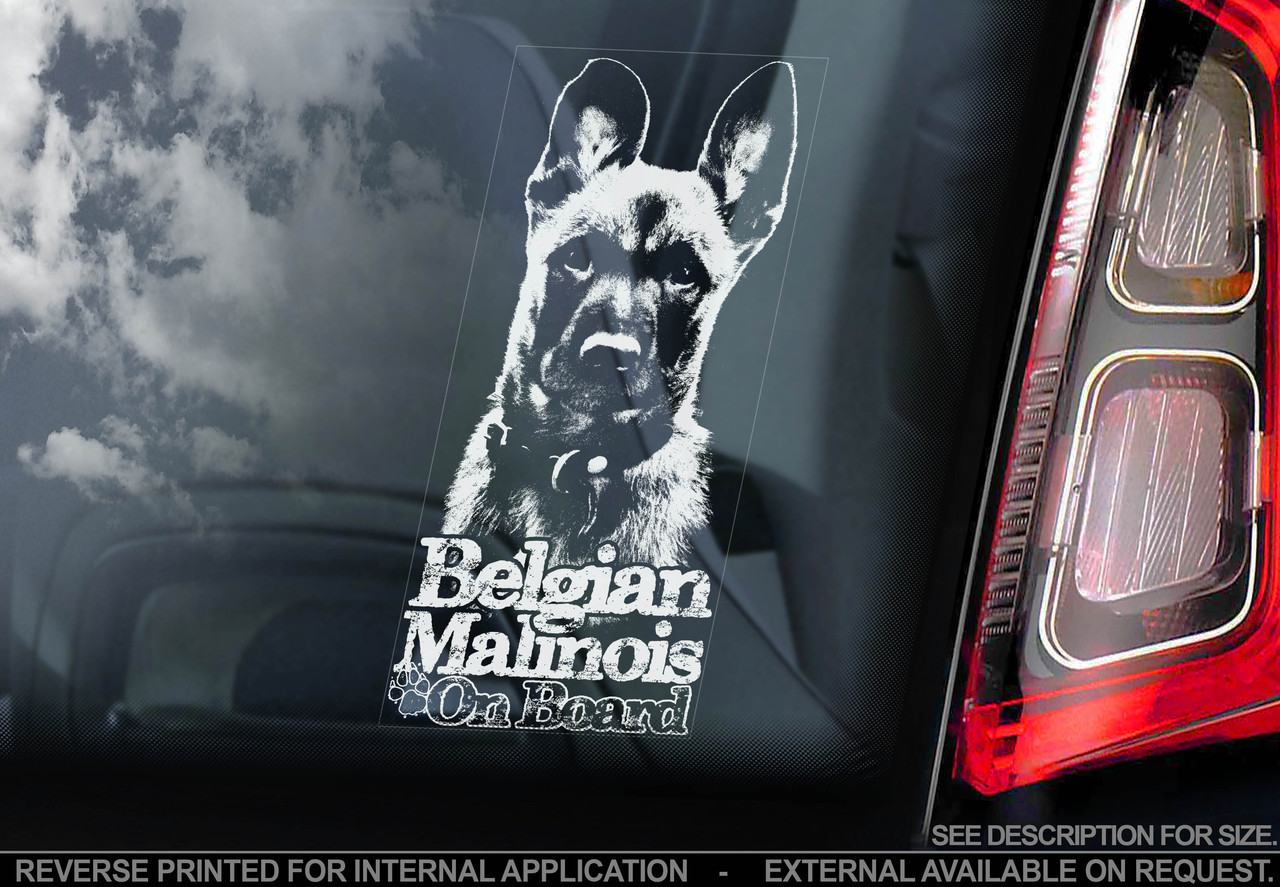 Бельгійський Малинуа (Бельгійська вівчарка) (Belgian Malinois) стикер