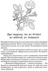 Мурахи не сдаються Секора Онджей, фото 2