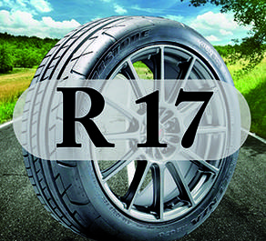 Шини R17