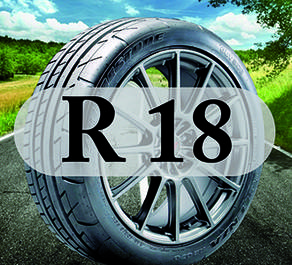 Шини R18