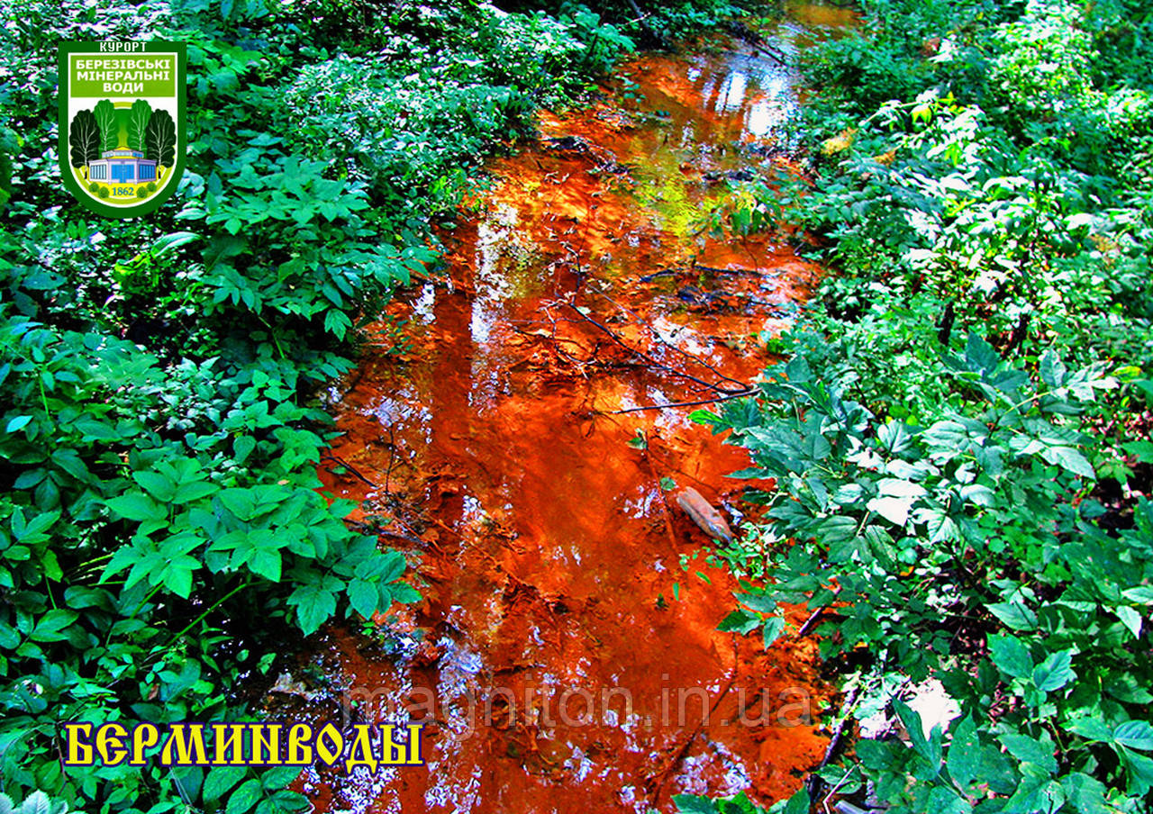 Магніти на холодильник. Бермінводи 04