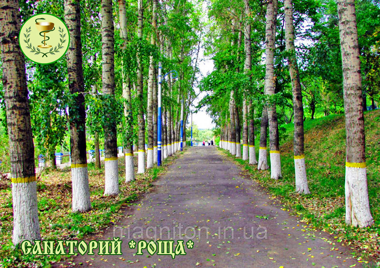 Магніти на холодильник. Роща 02, фото 1