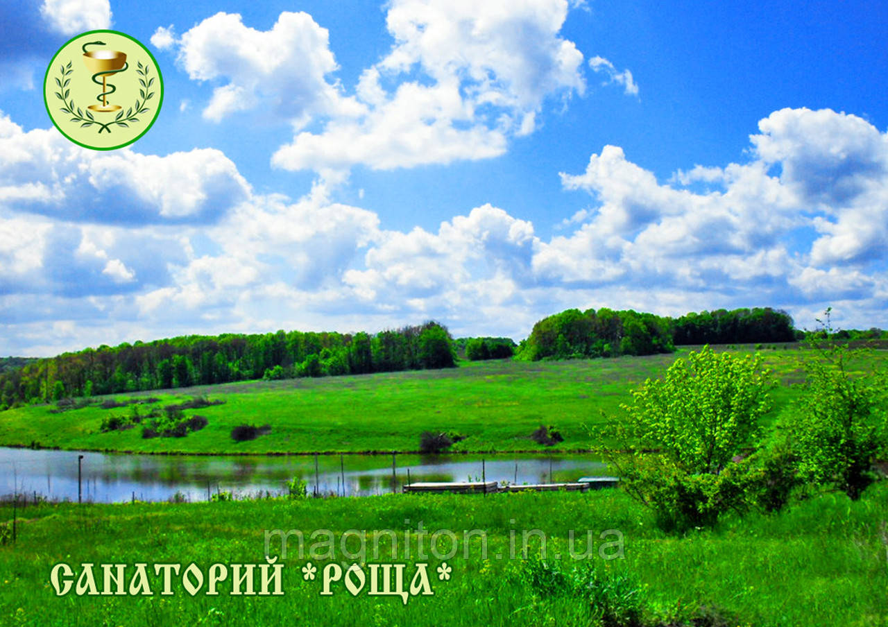 Магніти на холодильник. Роща 09