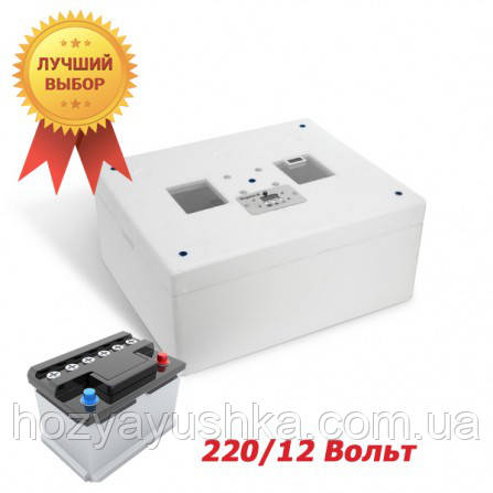 Інкубатор з автоматичним переворотом Несушарка М 76 яєць. 12 Вольт — експортна модель., фото 1