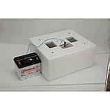 Інкубатор з автоматичним переворотом Несушарка М 76 яєць. 12 Вольт — експортна модель., фото 2