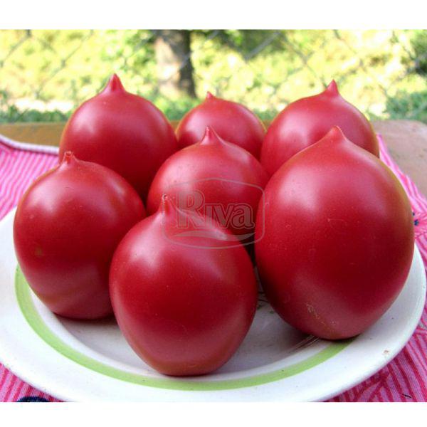 Томат Гібрид Тарасенко Ювілейний, 30с, фото 1