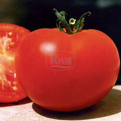 Томат КРАКУС, 30с