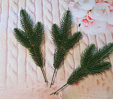 Ялинова гілка зелена