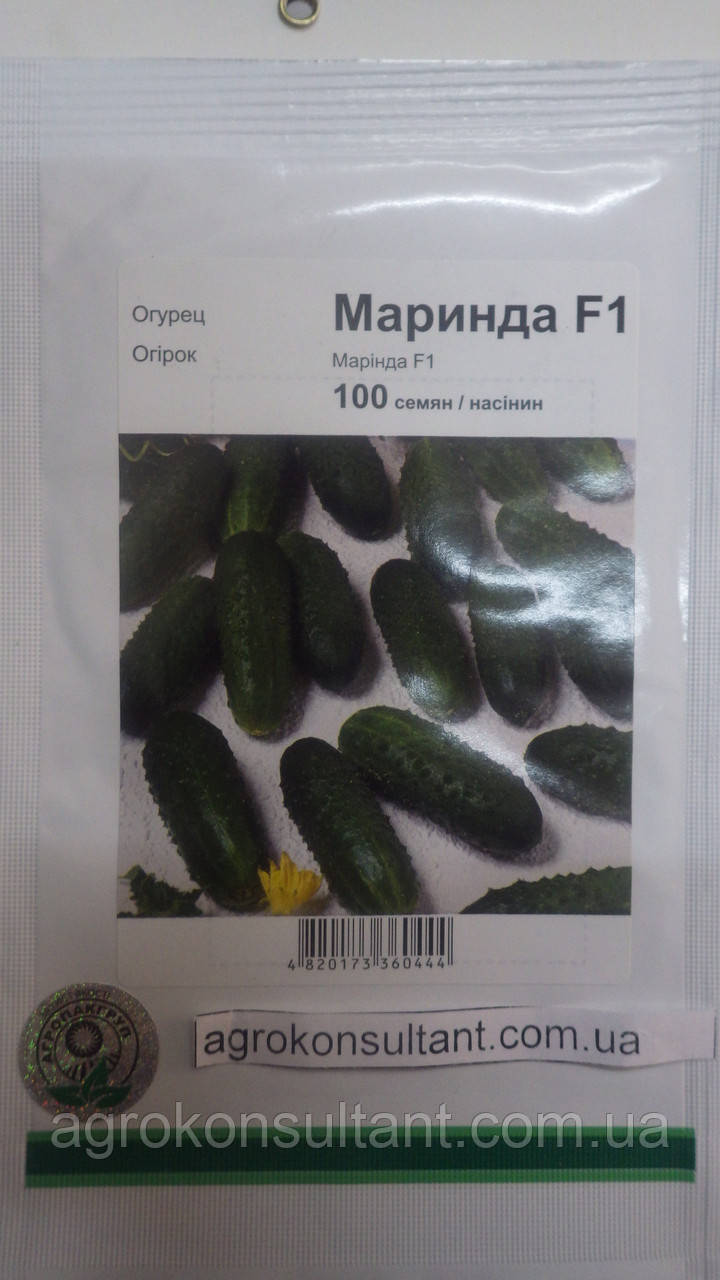 Насіння огірка Маринда F1 (Seminis, АГРОПАК+), 100 насіння — ультрародний гібрид (40-45 днів), партенокарпік