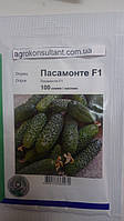 Насіння огірка Пасамонте F1 (Syngenta, АГРОПАК+), 100 насіння — ранній гібрид (40-42 дні), партенокарпік