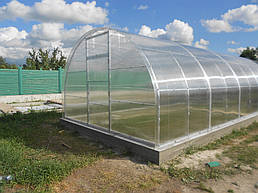 Теплицы 4*10 и 4*20 с. Ковалевка Васильковского р-на Киевской области август 2017 г 1