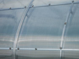 Теплицы 4*10 и 4*20 с. Ковалевка Васильковского р-на Киевской области август 2017 г 5