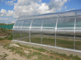 Теплицы 4*10 и 4*20 с. Ковалевка Васильковского р-на Киевской области август 2017 г 6