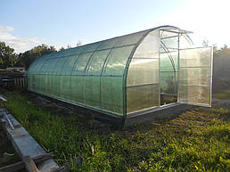 Теплицы 4*10 и 4*20 с. Ковалевка Васильковского р-на Киевской области август 2017 г 8