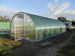 Теплицы 4*10 и 4*20 с. Ковалевка Васильковского р-на Киевской области август 2017 г 10
