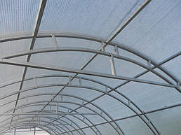 Теплицы 4*10 и 4*20 с. Ковалевка Васильковского р-на Киевской области август 2017 г 11