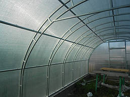 Теплицы 4*10 и 4*20 с. Ковалевка Васильковского р-на Киевской области август 2017 г 12