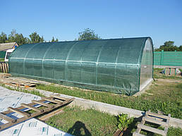 Теплицы 4*10 и 4*20 с. Ковалевка Васильковского р-на Киевской области август 2017 г 14