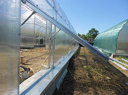 Теплицы 4*10 и 4*20 с. Ковалевка Васильковского р-на Киевской области август 2017 г 15