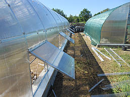 Теплицы 4*10 и 4*20 с. Ковалевка Васильковского р-на Киевской области август 2017 г 16