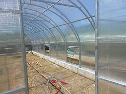 Теплицы 4*10 и 4*20 с. Ковалевка Васильковского р-на Киевской области август 2017 г 18