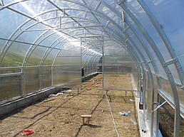 Теплицы 4*10 и 4*20 с. Ковалевка Васильковского р-на Киевской области август 2017 г 20