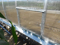 Теплицы 4*10 и 4*20 с. Ковалевка Васильковского р-на Киевской области август 2017 г 21