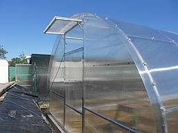 Теплицы 4*10 и 4*20 с. Ковалевка Васильковского р-на Киевской области август 2017 г 22