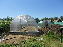 Теплицы 4*10 и 4*20 с. Ковалевка Васильковского р-на Киевской области август 2017 г 23