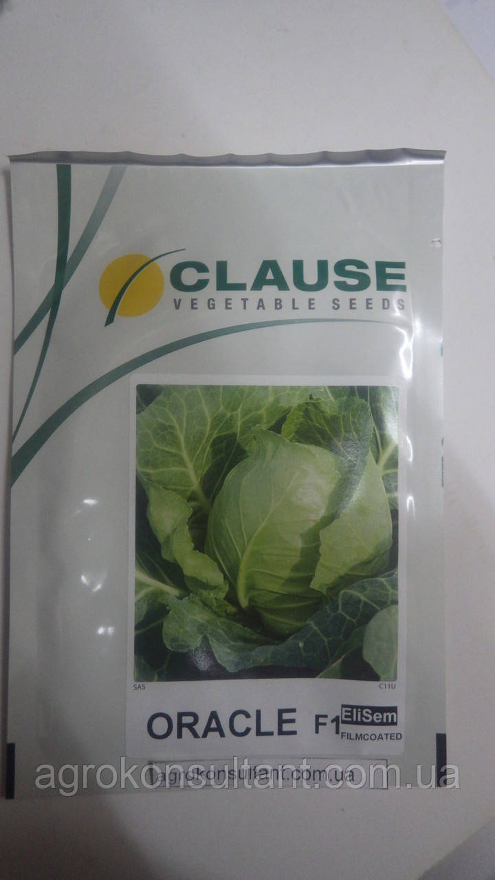 Насіння капусти Оракл F1 (Clause) 2500 насіння — рання (55 днів), білочана, кругла, Франція