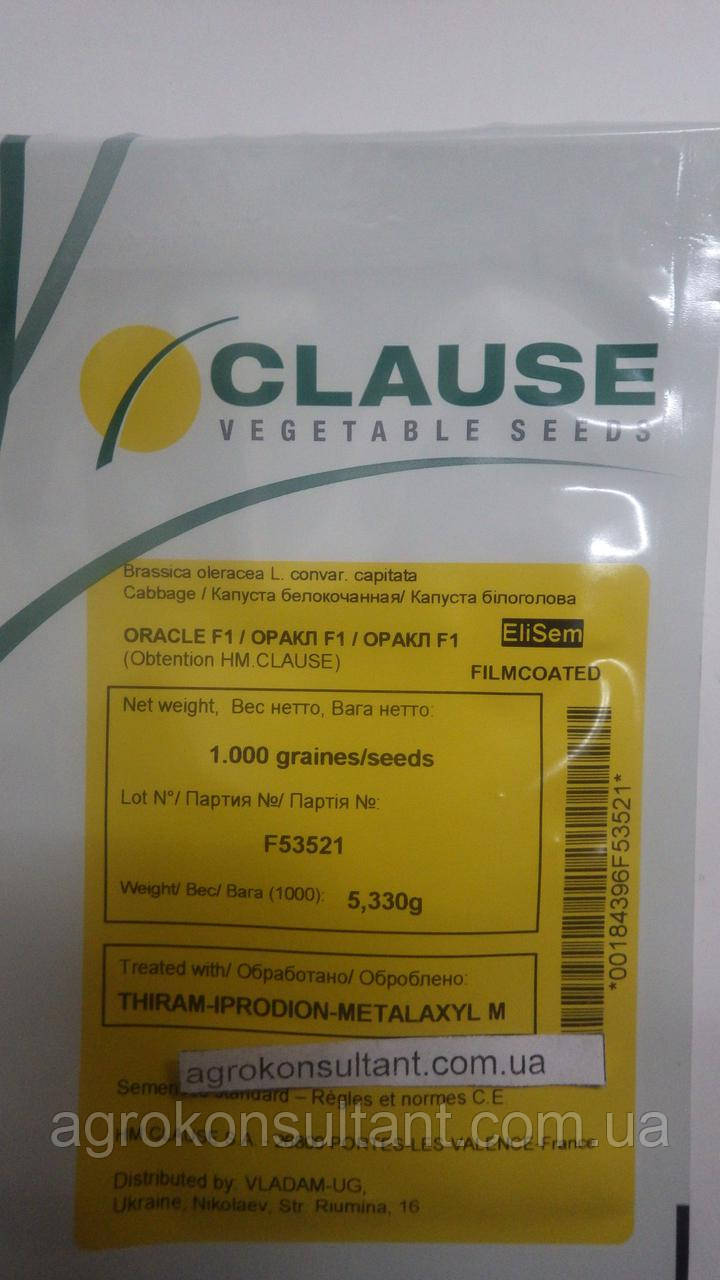 Семена капусты Оракл F1 (Clause) 2500 семян раняя (55 дней), белокочанная, круглая, Франция - фото 2 - id-p639643999