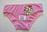 Труси дитячі для дівчаток, фото 3