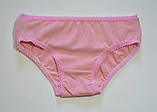 Трусики для дівчинки, фото 3