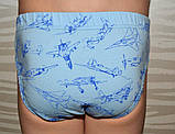 Трусики для хлопчиків, фото 2