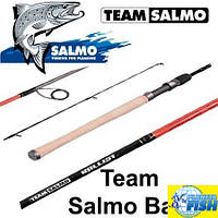 Спиннинг Team Salmo BALLIST 1,87м/6,1" (5-22гр)