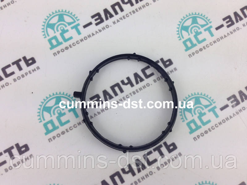 Прокладка корпусу термостата Cummins ISF2.8 5266796, фото 1