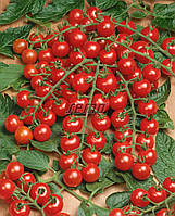 Насіння томату Міні 1000 насіння SEMO