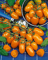 Насіння томата Датло 1000 насіння SEMO